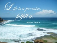 /album/think-positive-info/tereza-2-jpg/